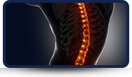 Non-operative treatment of the spine